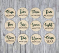 Monthly Wooden Milestone Photo Prop